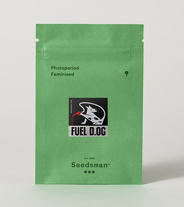 Fuel D.OG