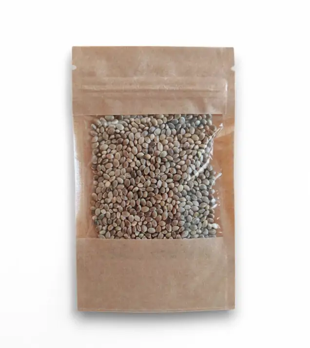 Fibra di canapa CBD (1000 semi)