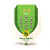 Royal Gorilla Automatic SALDI