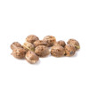 Hash Plant SALDI