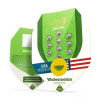 Watermelon Automatic SALDI