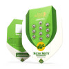 Haze Berry Auto SALDI