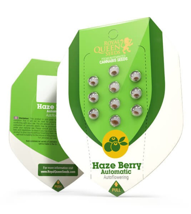 Haze Berry Auto SALDI
