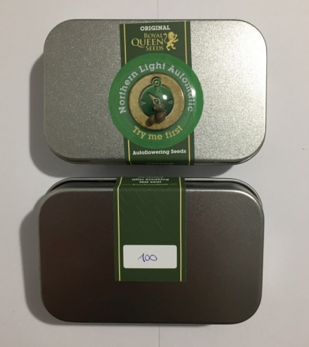 Northern Light Automatic SALDI