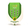 Royal Cookies Autoflowering SALDI