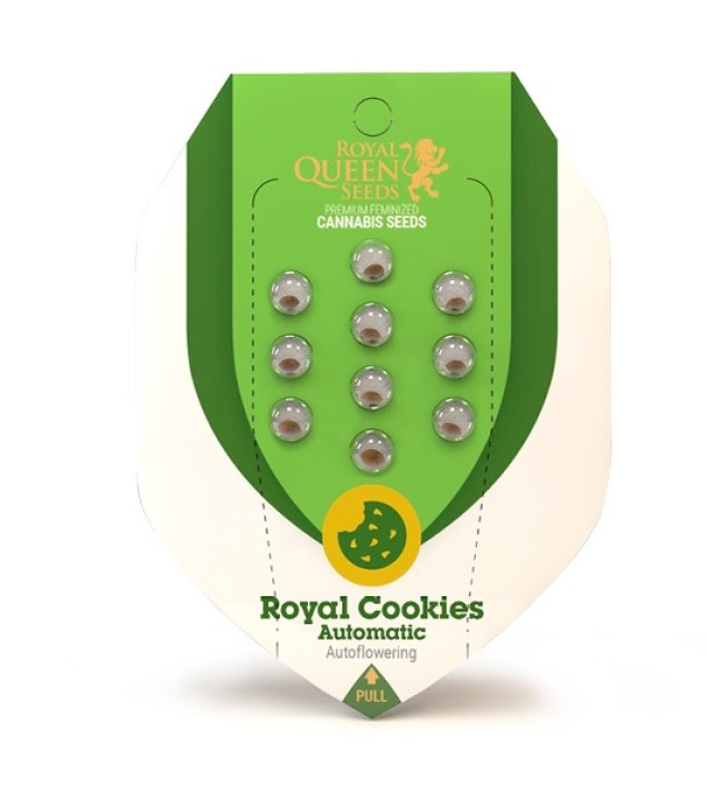 Royal Cookies Autoflowering SALDI