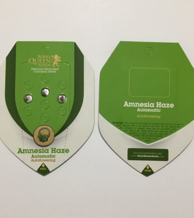 Amnesia Haze Automatic SALDI