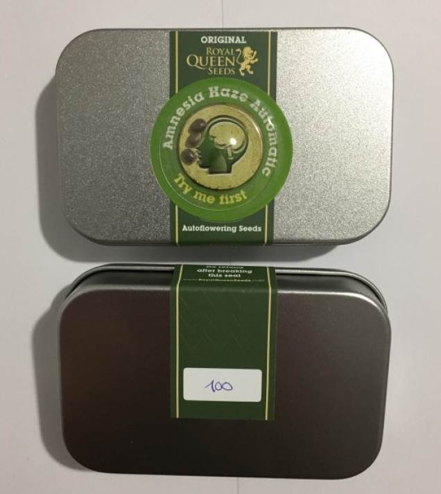 Amnesia Haze Automatic SALDI