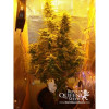 Amnesia Haze Automatic SALDI