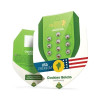 Cookies Gelato Auto SALDI