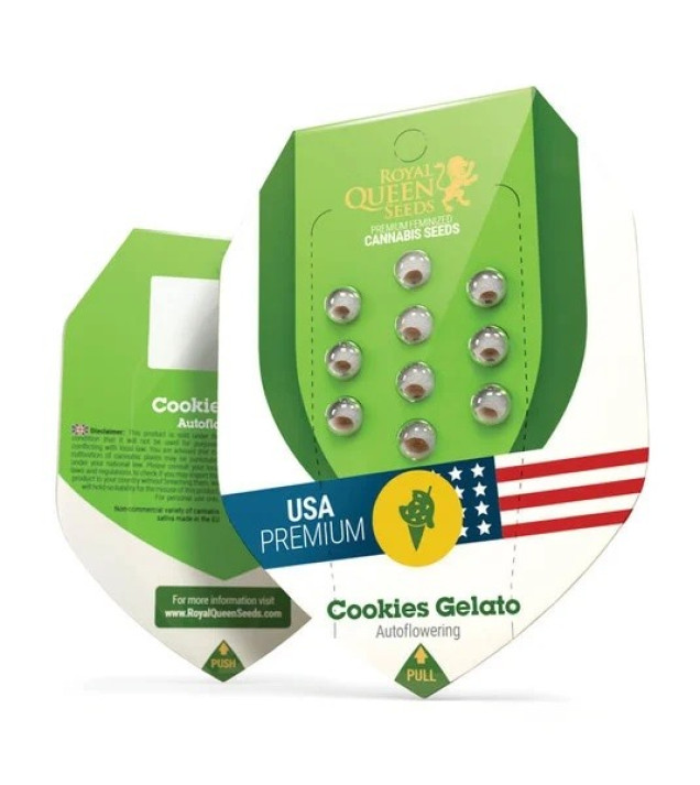 Cookies Gelato Auto SALDI