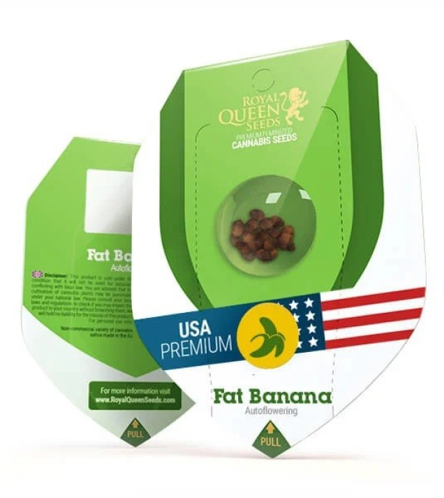 Fat Banana Automatic SALDI