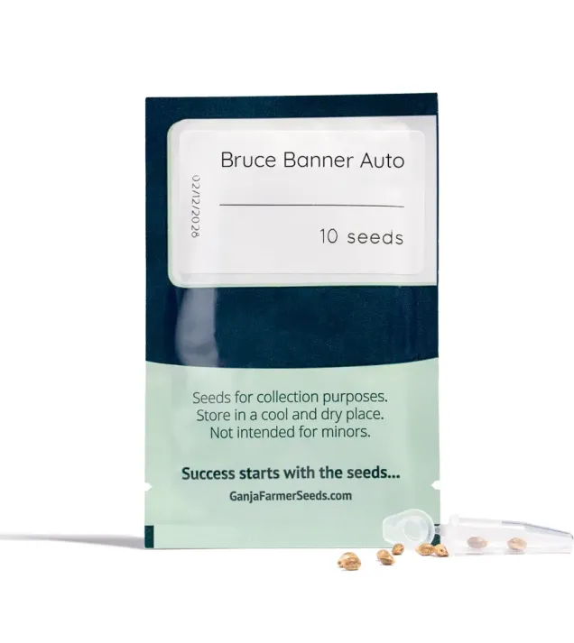 Bruce Banner Auto