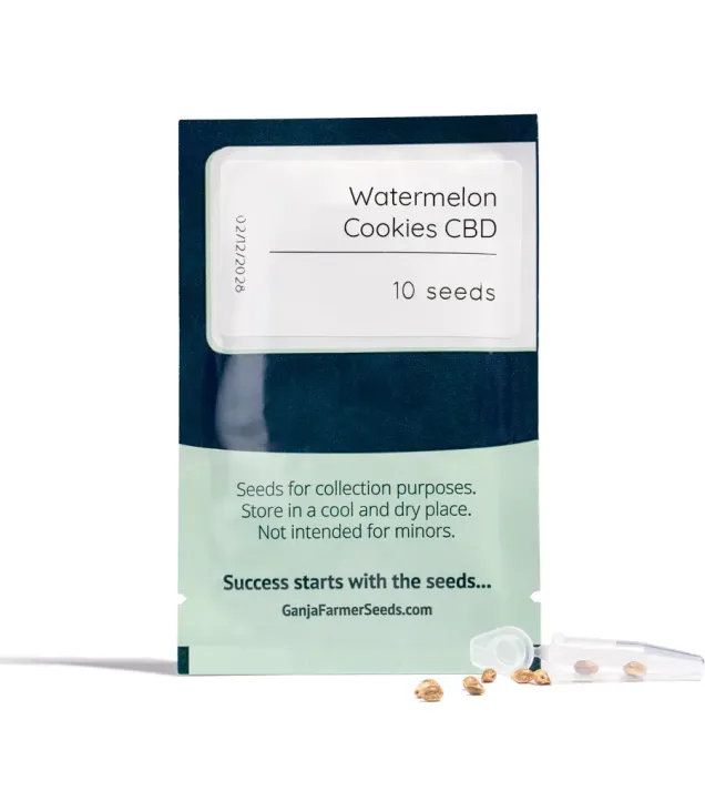 Watermelon Cookies CBD