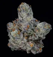 Lemon Fever