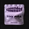 Pink Pina