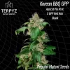 Korean BBQ GPP Regular 