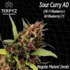 Sour Curry AD Regular 