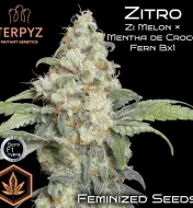 Zitro&nbsp;