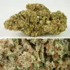 Auto SFV OG SALDI