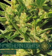 Northern Lights Auto