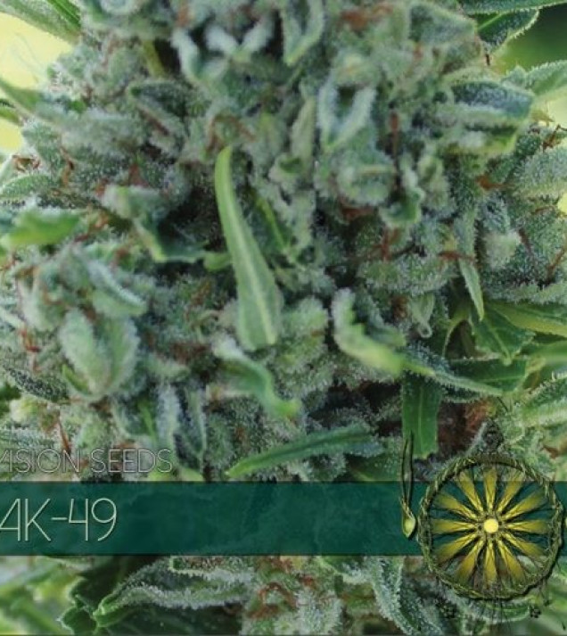 AK-49