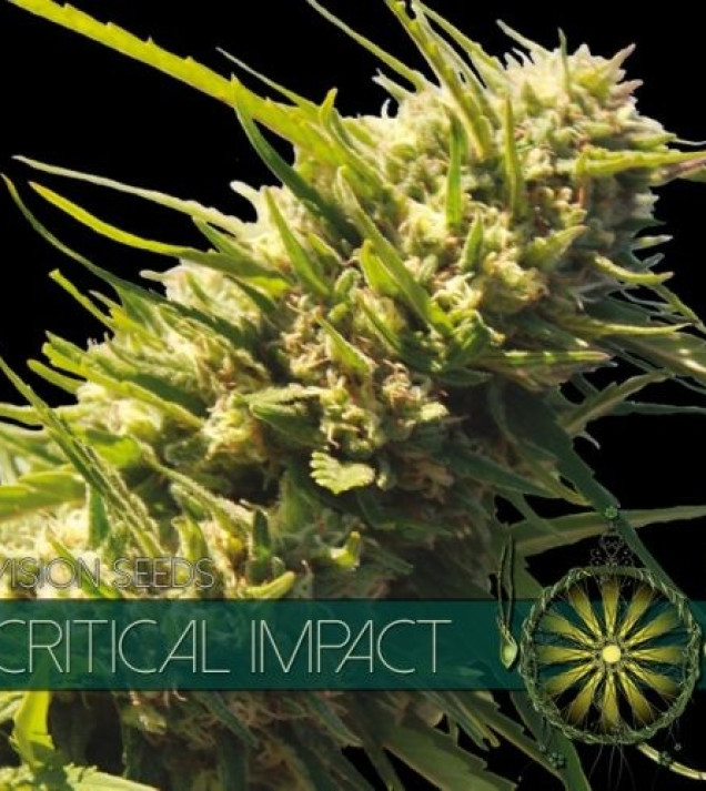 Critical Impact
