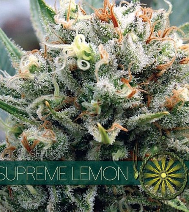 Supreme Lemon