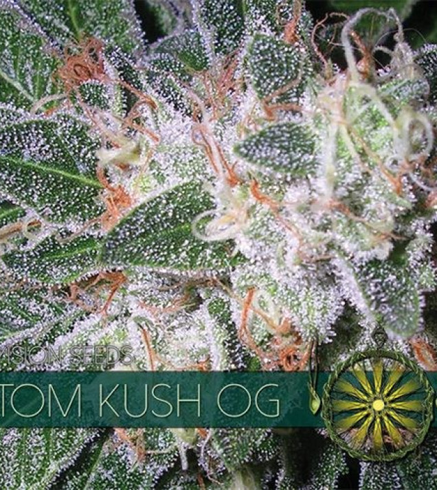 Tom Kush OG