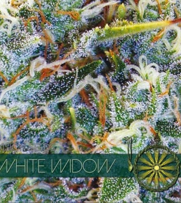 White Widow