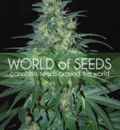 South African Kwazulu