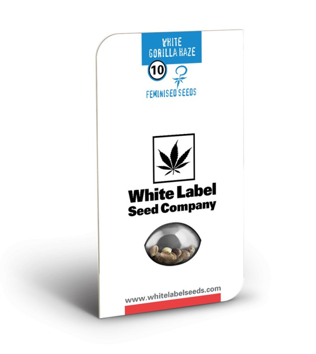 White Gorilla Haze