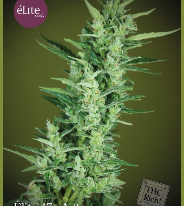 Elite 47 Auto