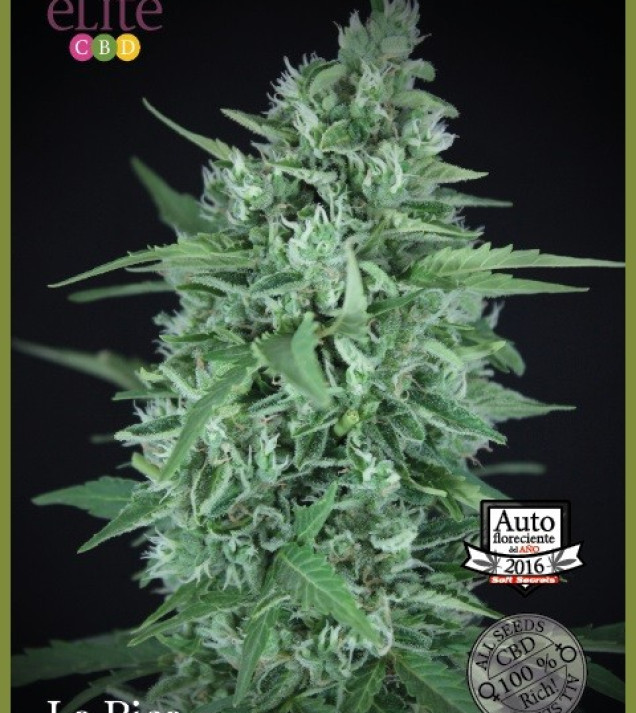 La Rica Auto CBD