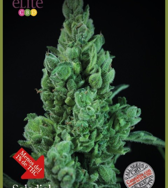 Solodiol Auto CBD