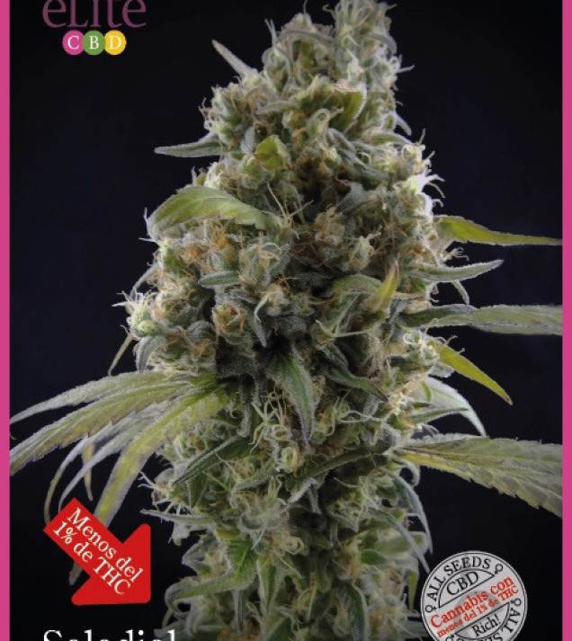 Solodiol CBD