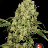 AK-47