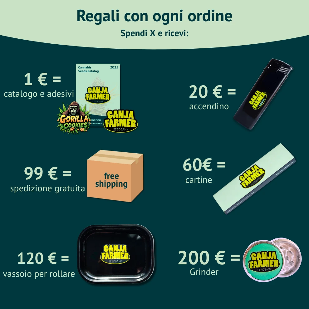 gadget e omaggi