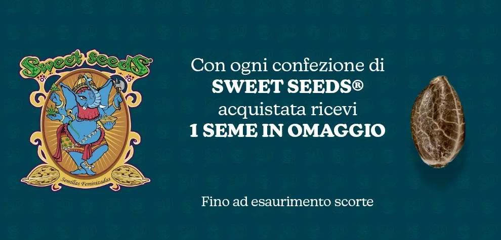 Seme omaggio Sweet Seeds