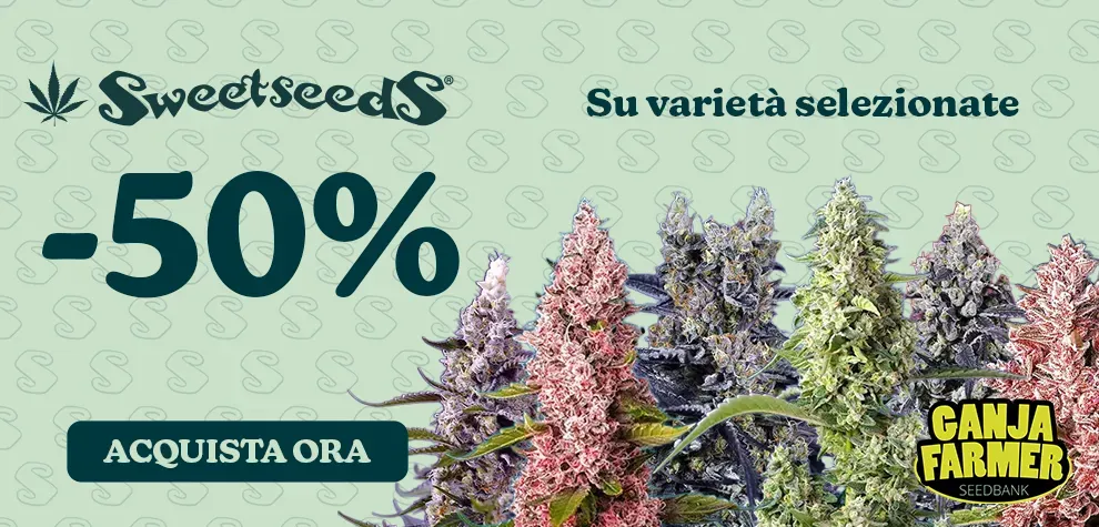 Sweet Seeds -50%