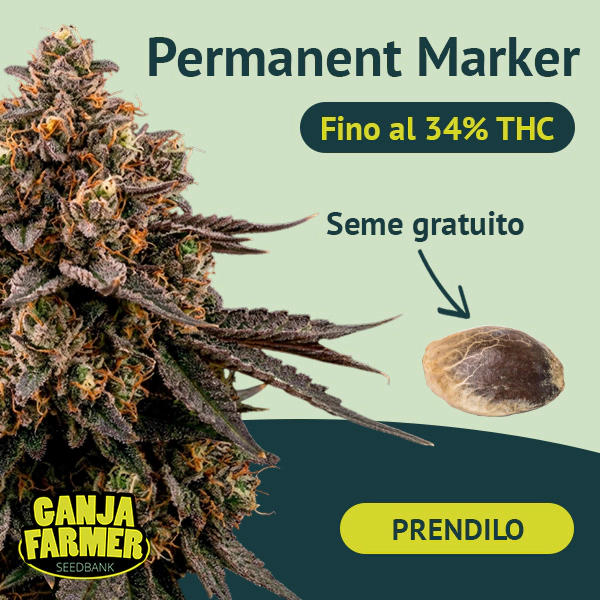 Dołącz do newslettera